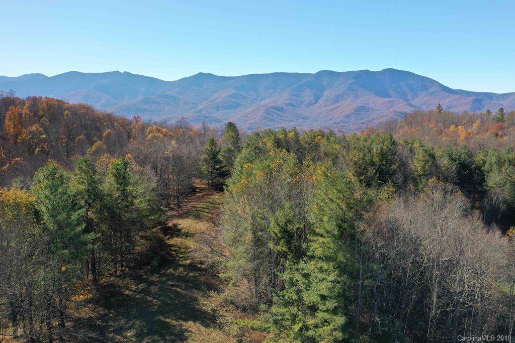 2496 Seven Mile Ridge Road - Photo 1