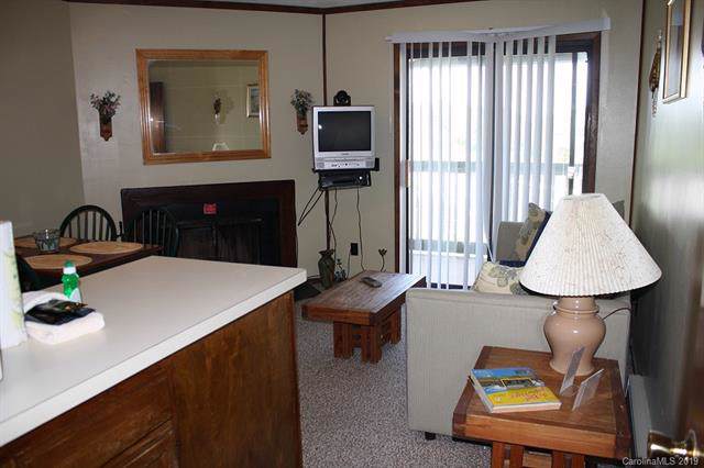 301 Pinnacle Inn Road - Photo 1