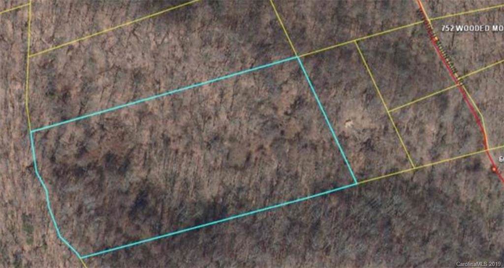 9999 Wooded Mountain Trail - Photo 1