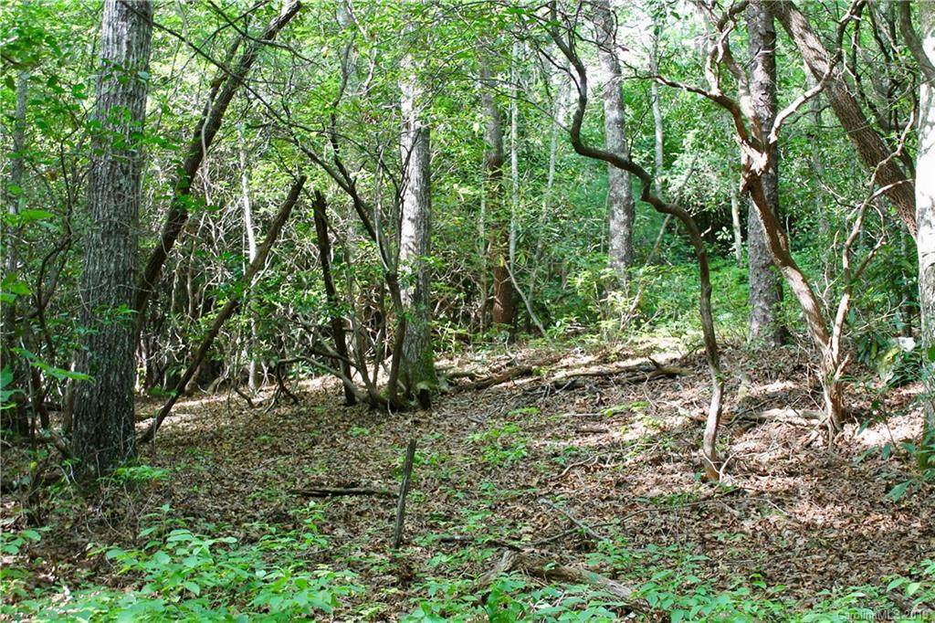 TBD Us 64 Highway - Photo 1 TBD Us 64 Highway - Photo 1