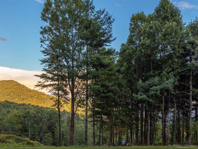 0 Dancing Bear Drive - Photo 1