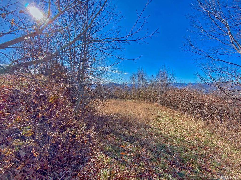 Lot 20 Hyacinth Drive - Photo 1