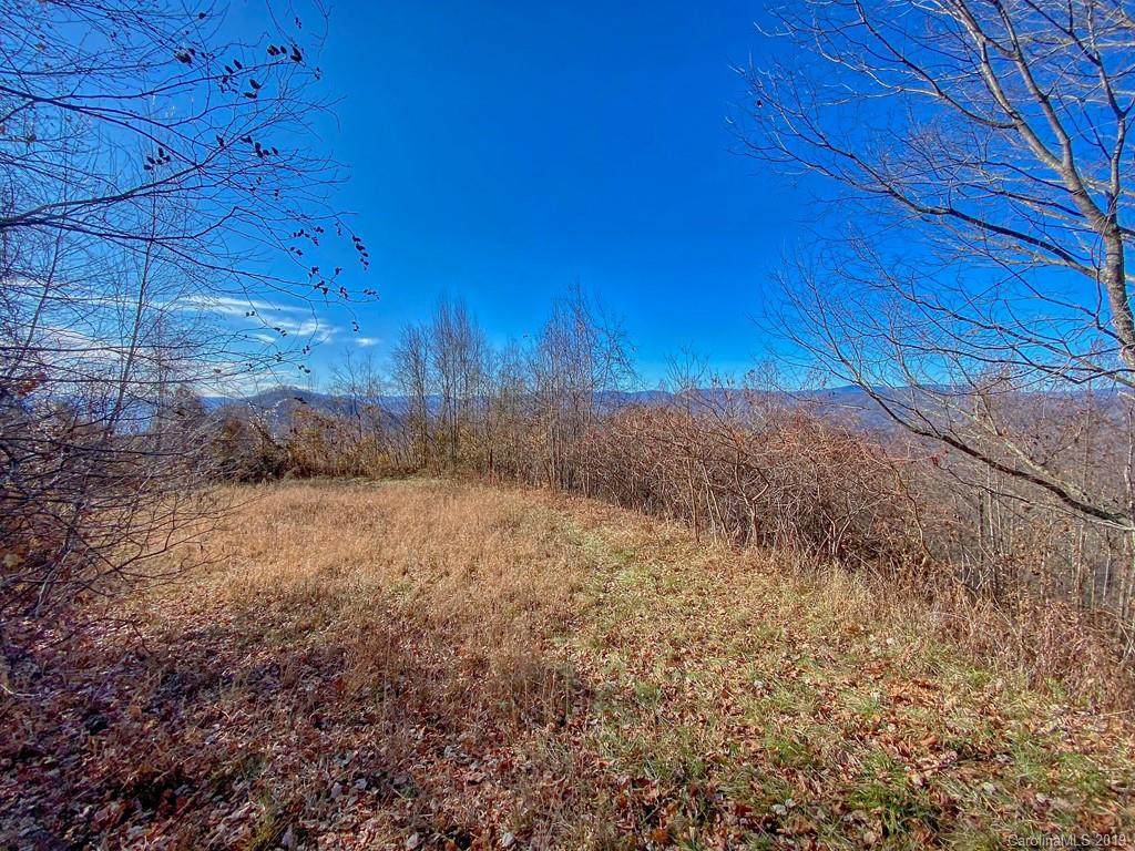 Lot 20 Hyacinth Drive - Photo 1