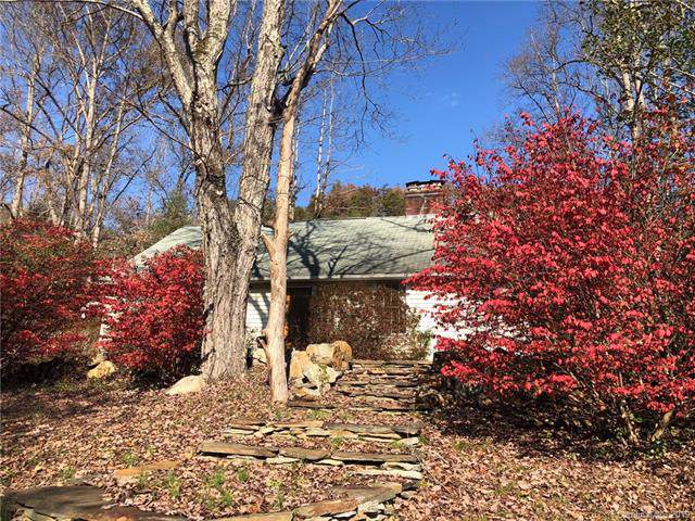 1688 Nc 209 Highway - Photo 1