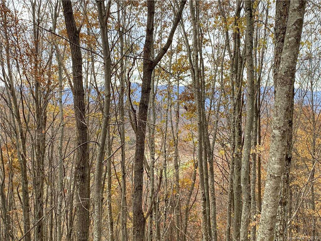 3326 Preserve Road - Photo 1