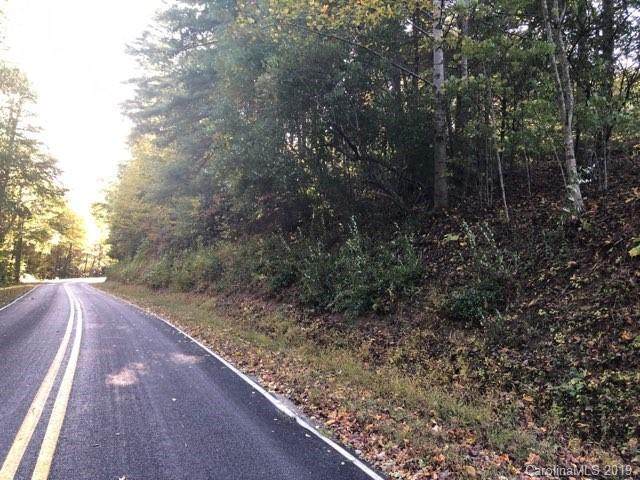 00 Whiteside Cove Road - Photo 1
