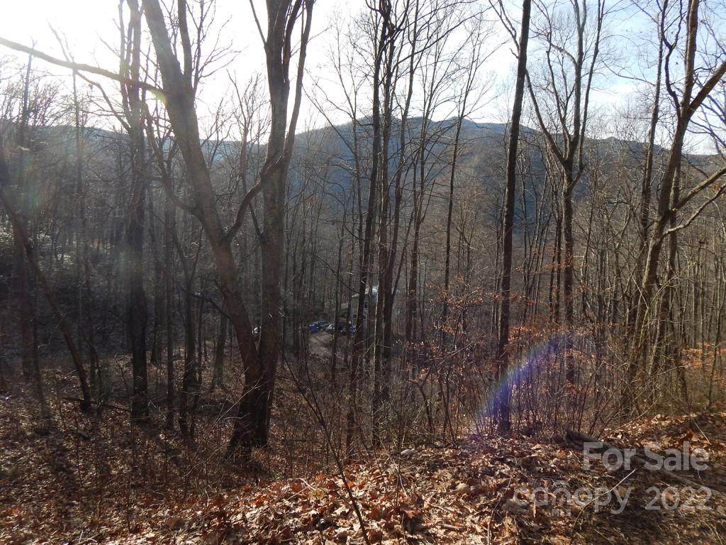 00 Horse Cove Road - Photo 1