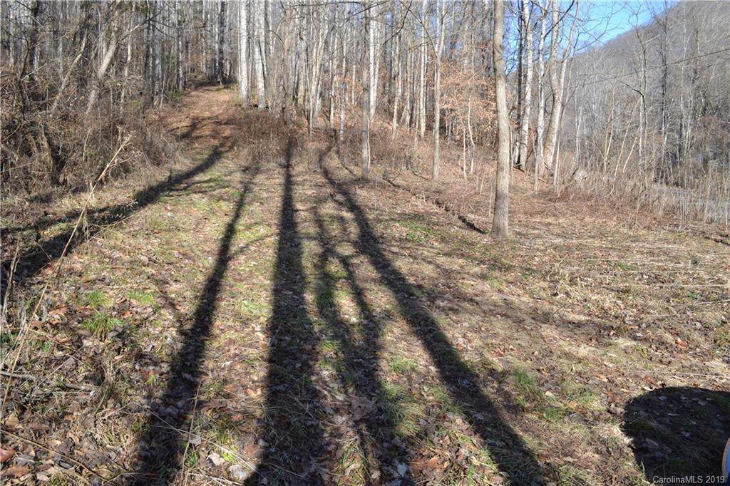 000 Martins Creek Road - Photo 1