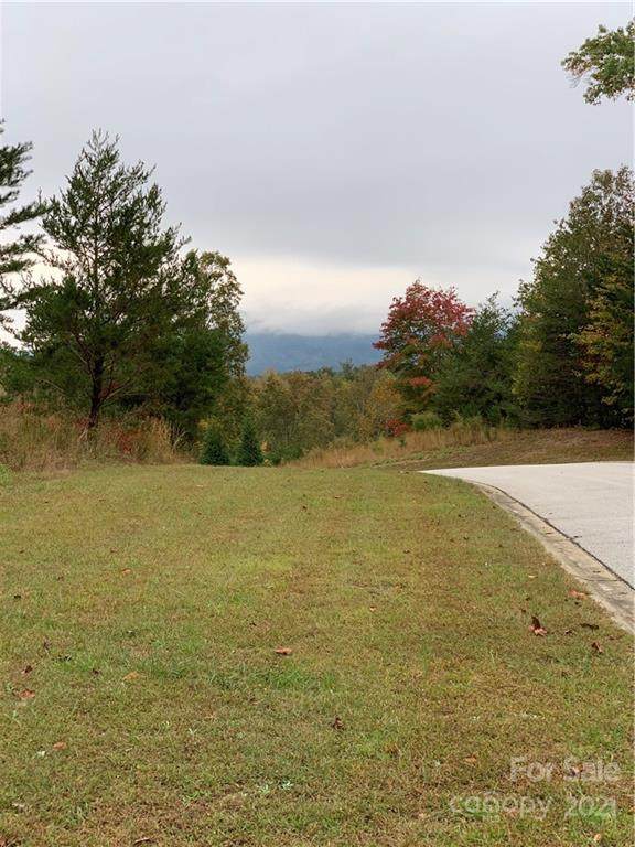 999 Mountain Parkway - Photo 1