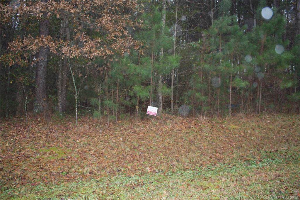 688 Bellegray Road - Photo 1