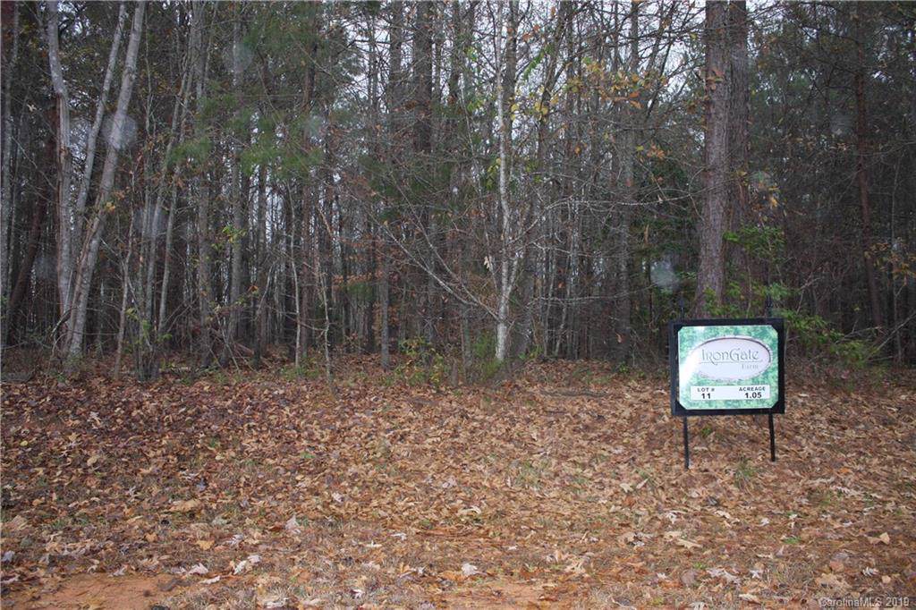 784 Bellegray Road - Photo 1