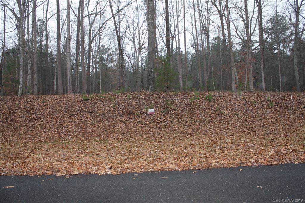 795 Bellegray Road - Photo 1