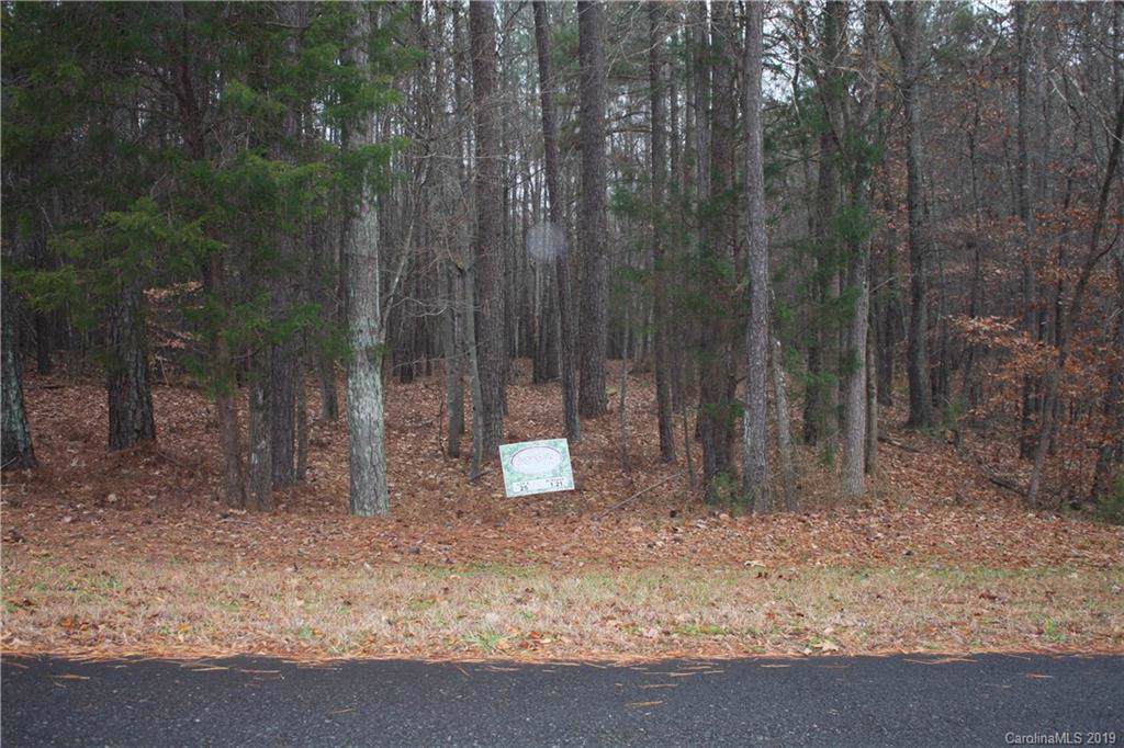 747 Bellegray Road - Photo 1
