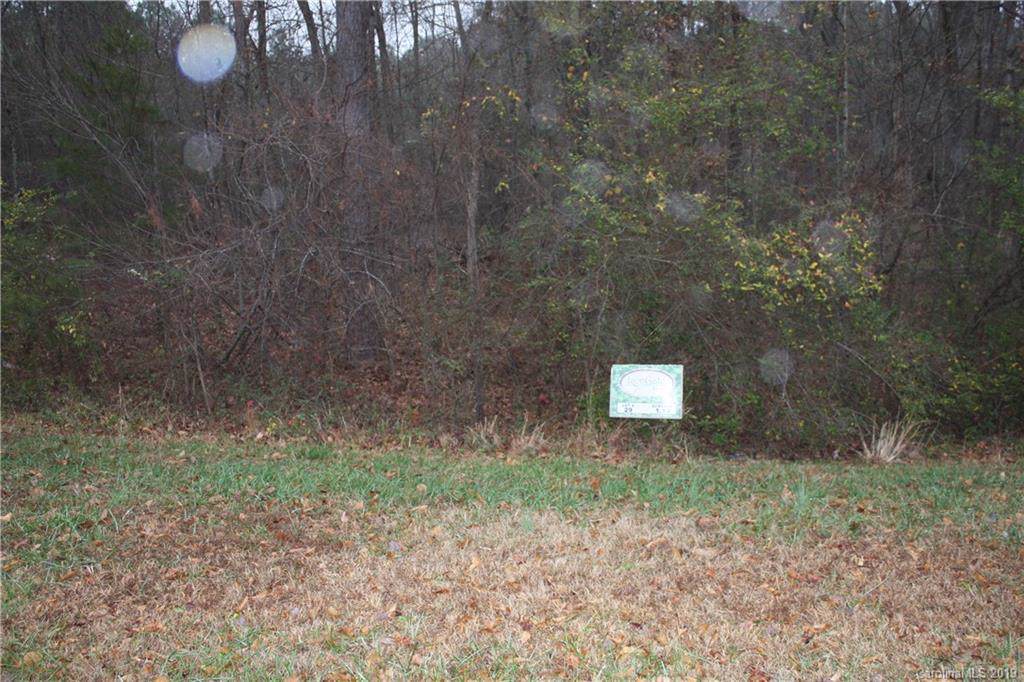 663 Bellegray Road - Photo 1