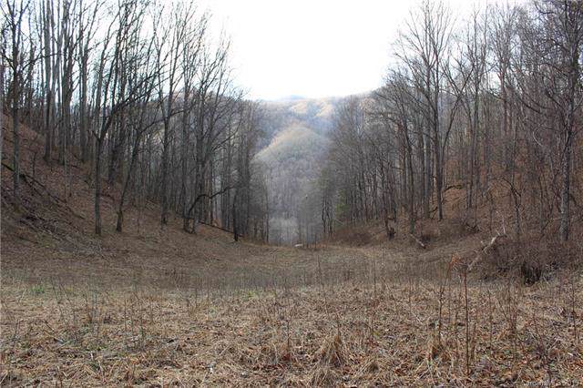TBD Garretts Gap Lane - Photo 1