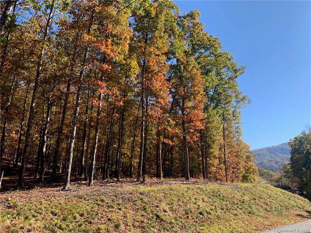 0 French Broad Parkway - Photo 1