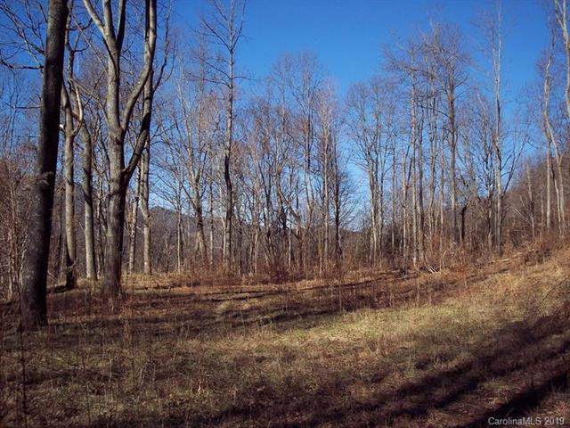1011 South Fork Road - Photo 1