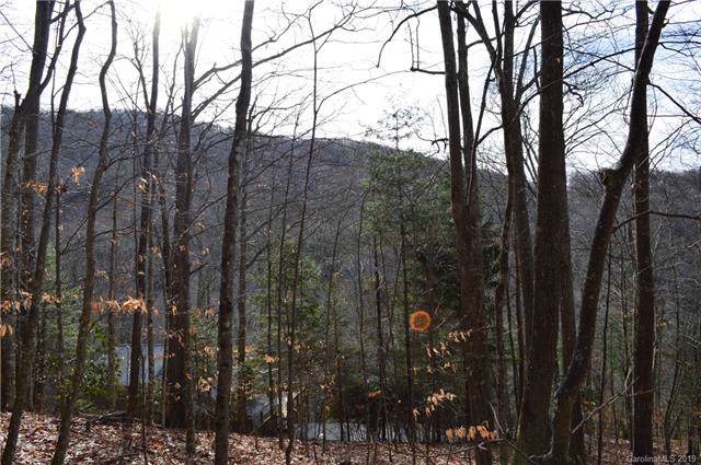 0000 Oakridge Lane - Photo 1