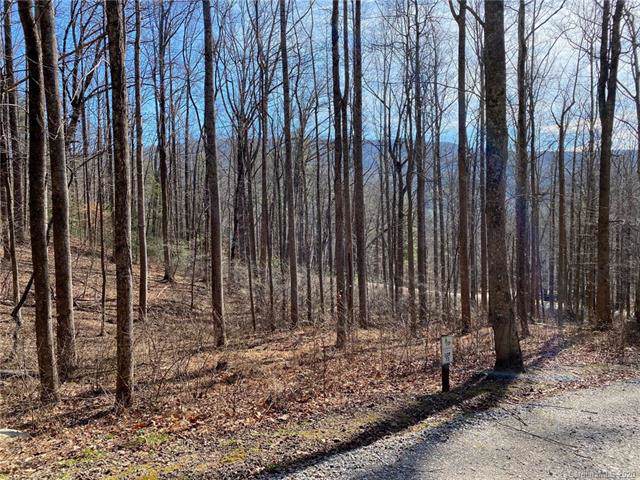 V/L Rocky Branch Trail - Photo 1