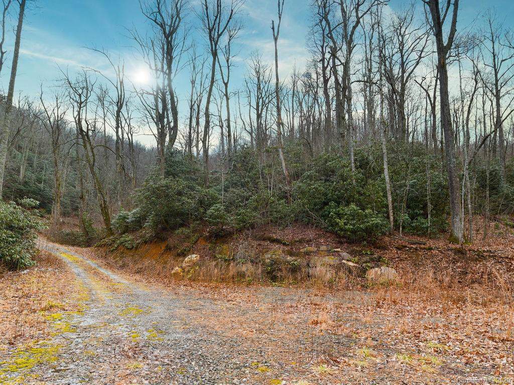 tbd Pheasant Hollow Drive - Photo 1