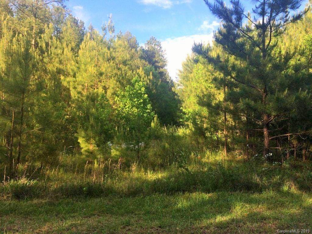 000 Crow Road - Photo 1