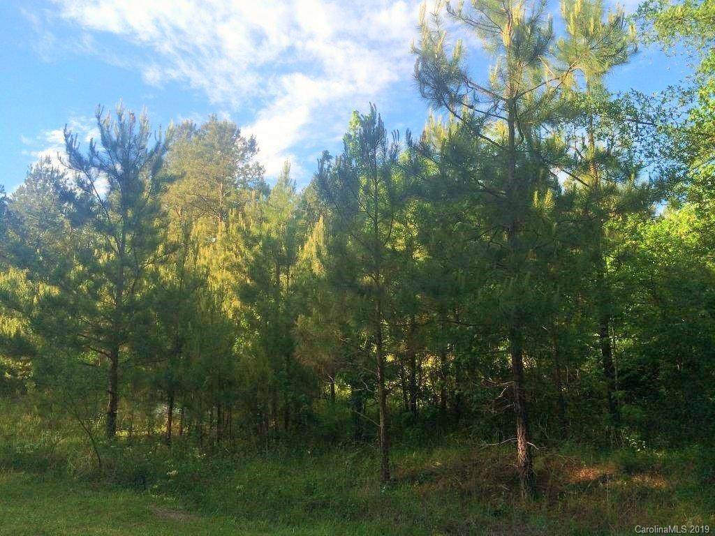 000 Crow Road - Photo 1