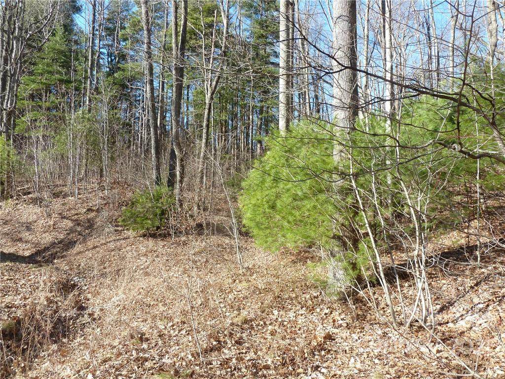 5 & 30 Pointe Drive - Photo 1