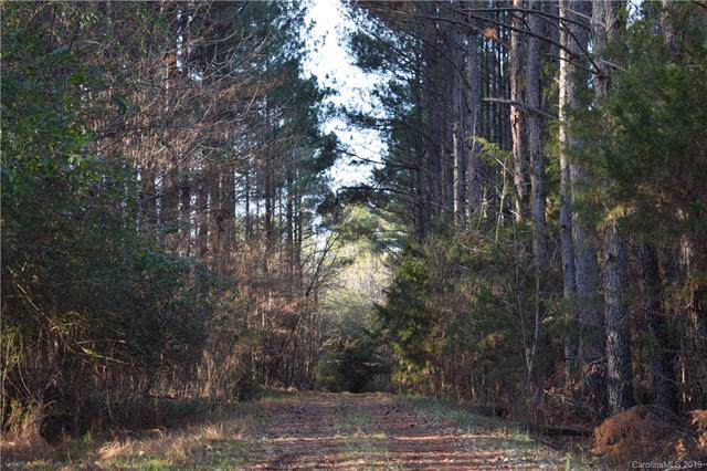 1235 Horne Store Road - Photo 1