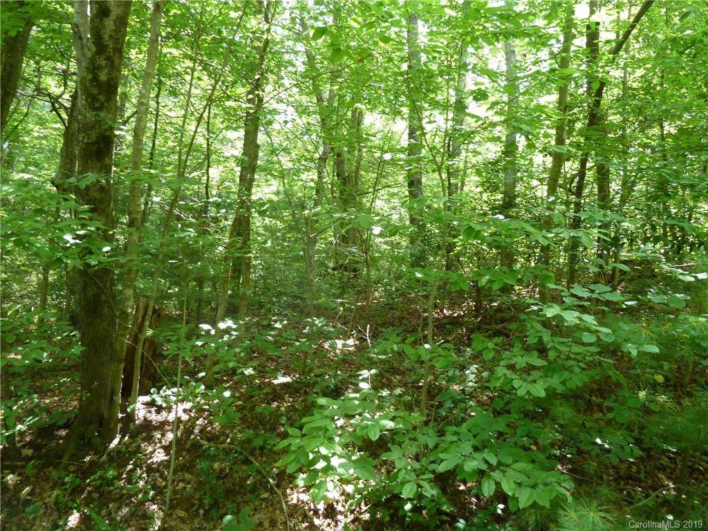 46 Dakota Springs Loop - Photo 1