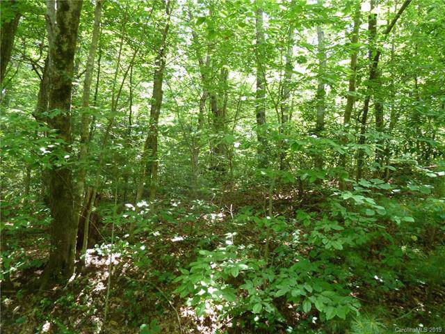 46 Dakota Springs Loop - Photo 1