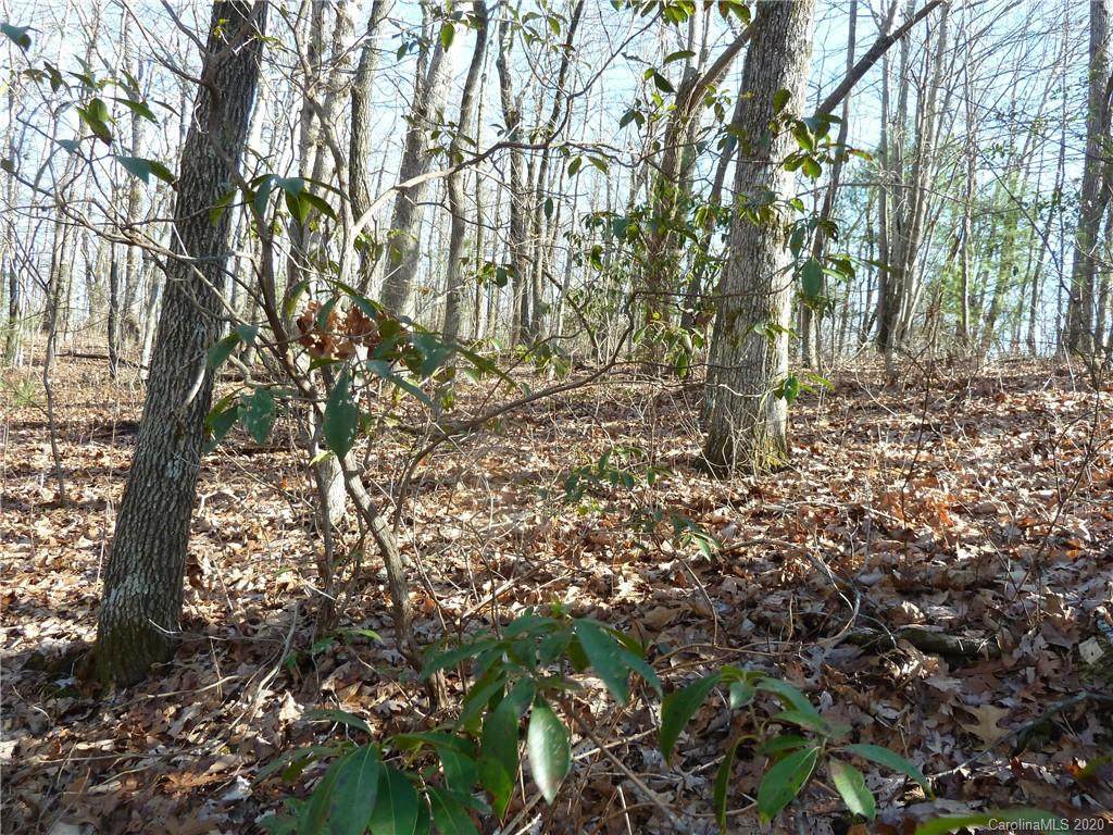 49 Dakota Springs Loop - Photo 1