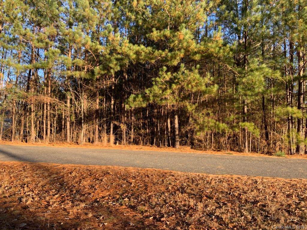 113 River Hills Way - Photo 1