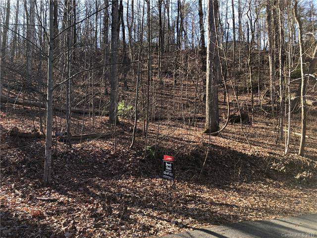 00 Lower Collier Cobb Drive - Photo 1