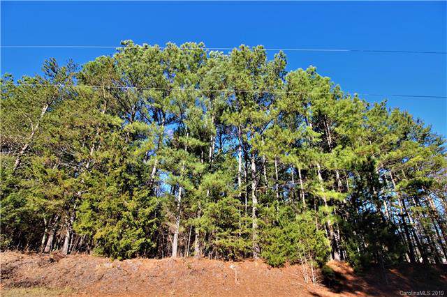 2 Acres Caroline Acres Road - Photo 1