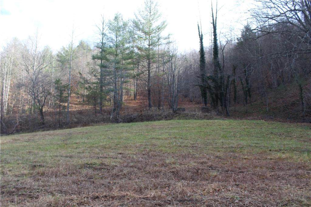 3360 Blue Creek Road - Photo 1