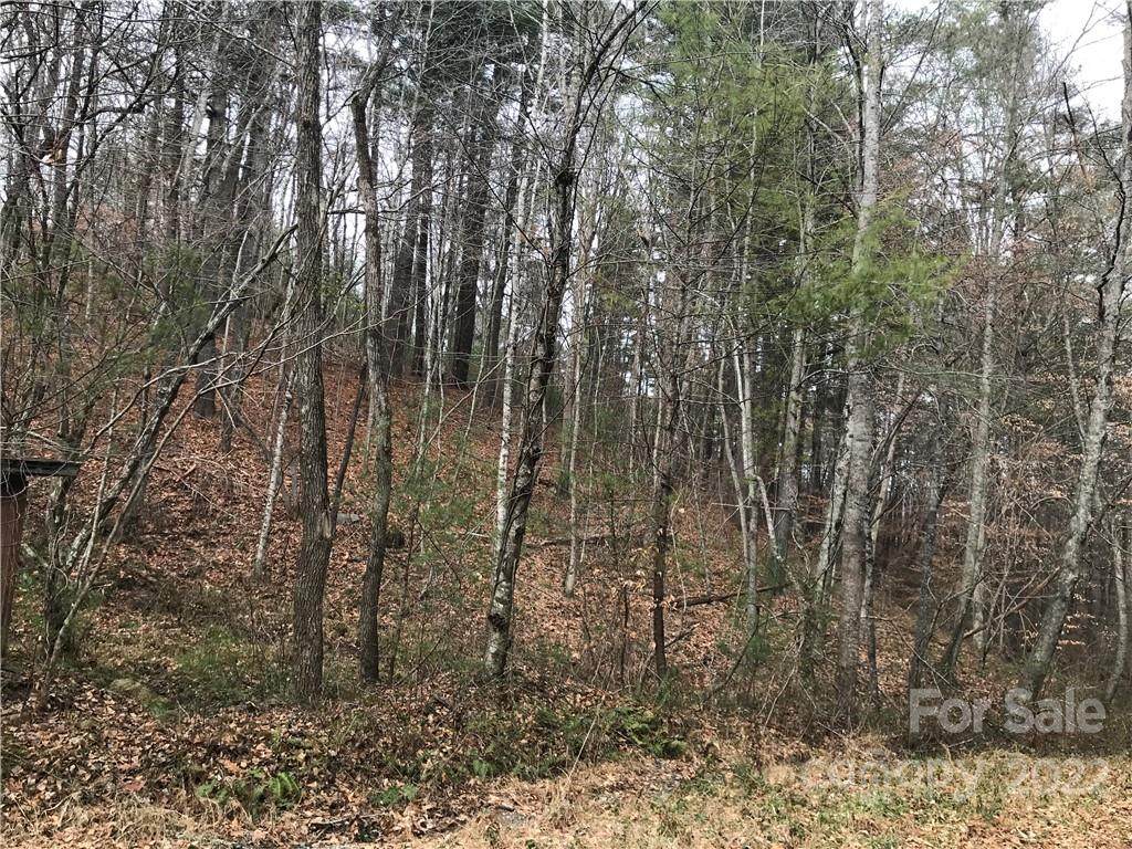 27 Eller Hollow Road - Photo 1