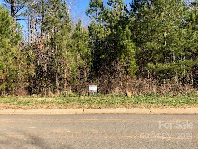 NA Waxhaw Crossing Drive - Photo 1