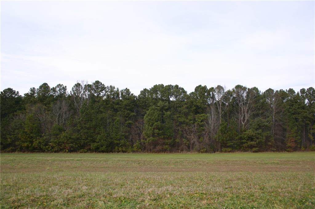 1466 Smyre Farm Road - Photo 1