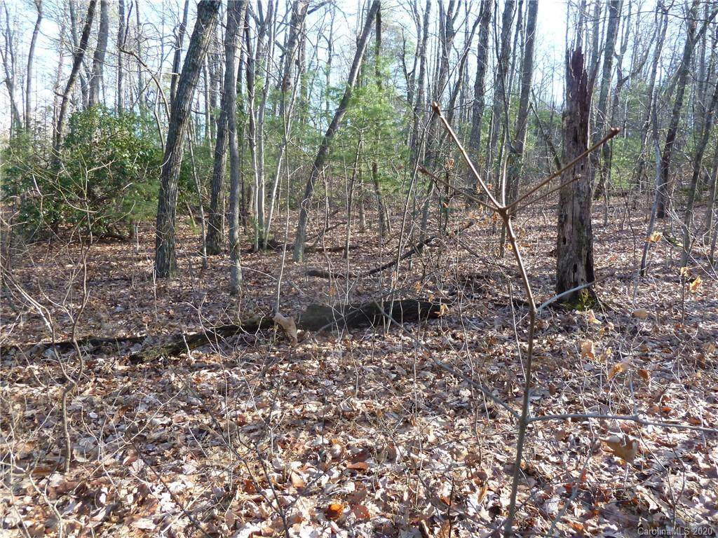 46 & 47 Dakota Springs Loop - Photo 1