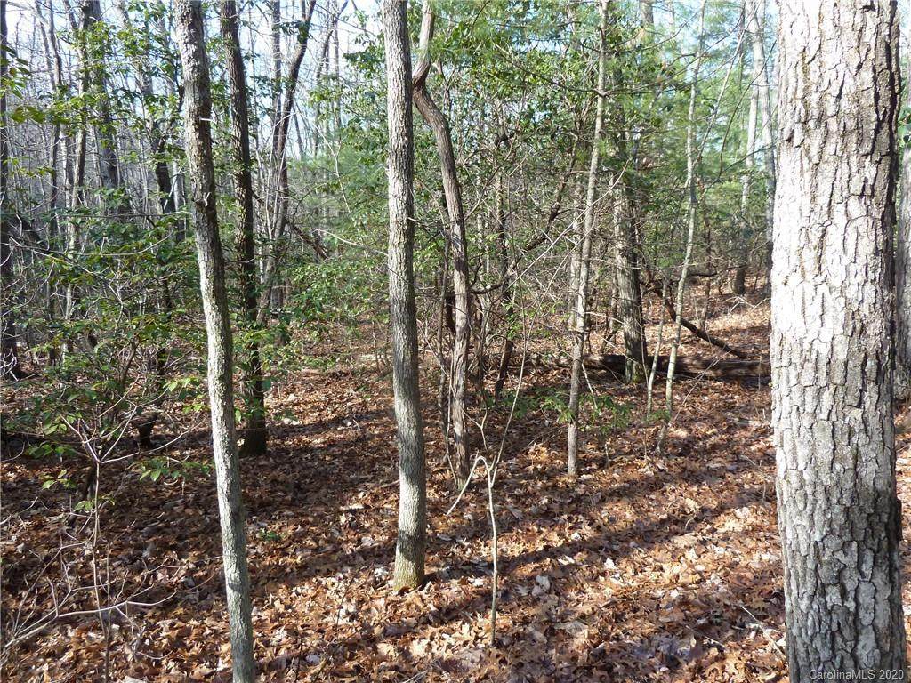 48 & 49 Dakota Springs Loop - Photo 1