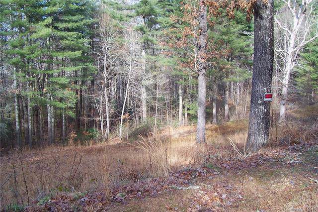 Lot 14 Red Fox Drive - Photo 1