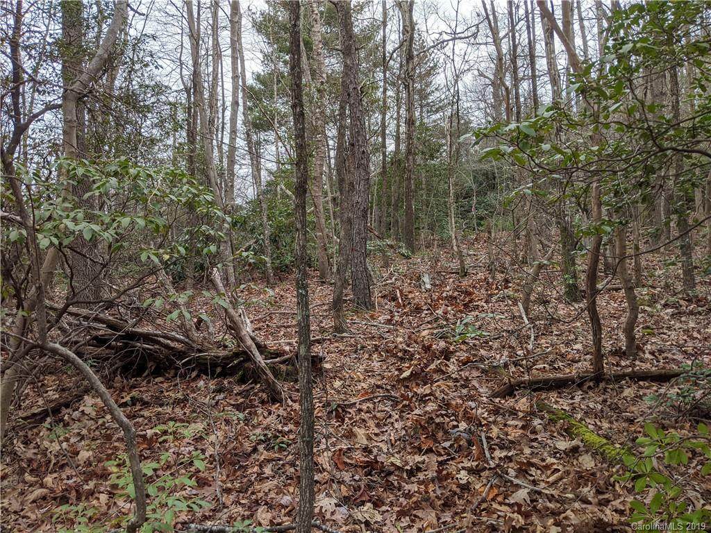99999 Prospectors Trail - Photo 1