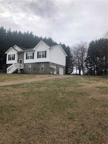 3913 Leah Belle Lane - Photo 1