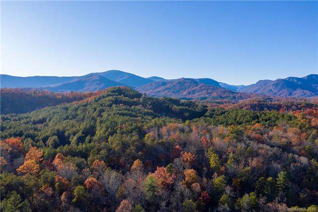 0000 Grassy Knob Road - Photo 1
