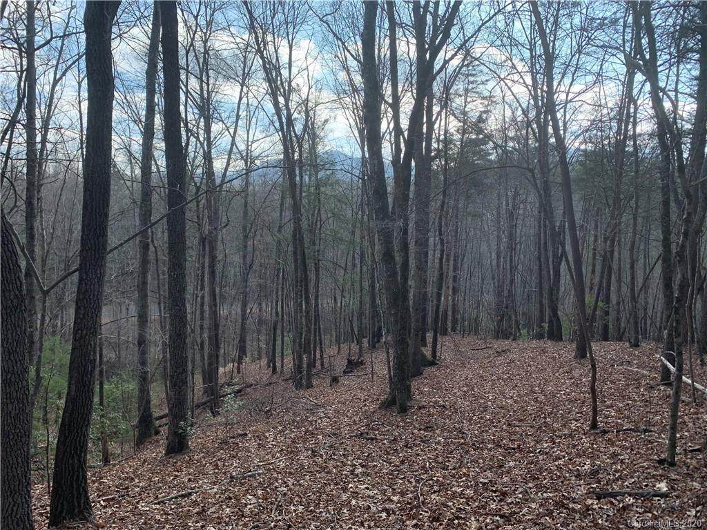 229 Lake Adger Parkway - Photo 1