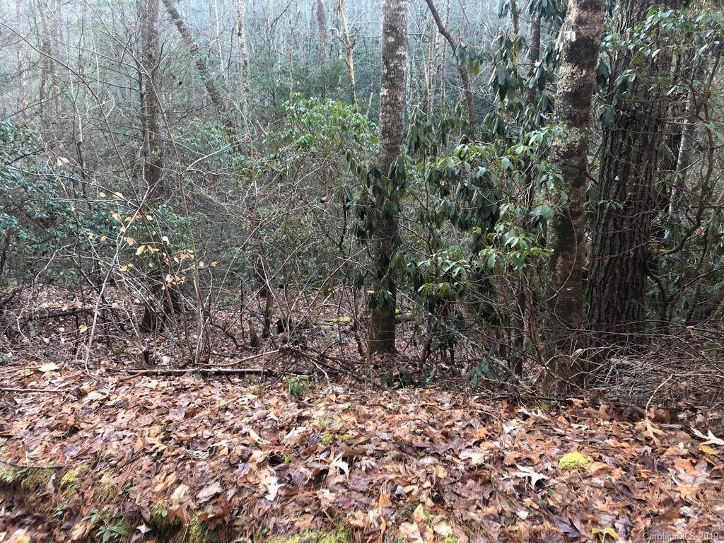 00 Stanley Haven Lane - Photo 1