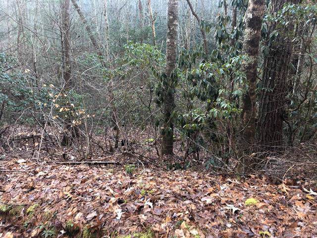 00 Stanley Haven Lane - Photo 1