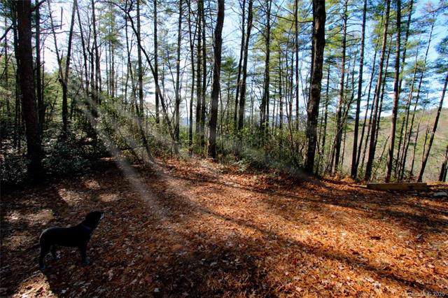 TBD Bear Pen Hollow Road - Photo 1