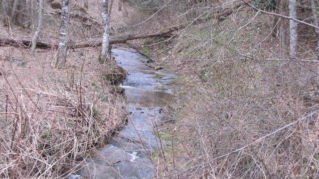 0 Ashland Mountain Road - Photo 1