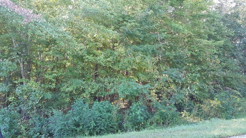 31.92 AC Potter Road - Photo 1
